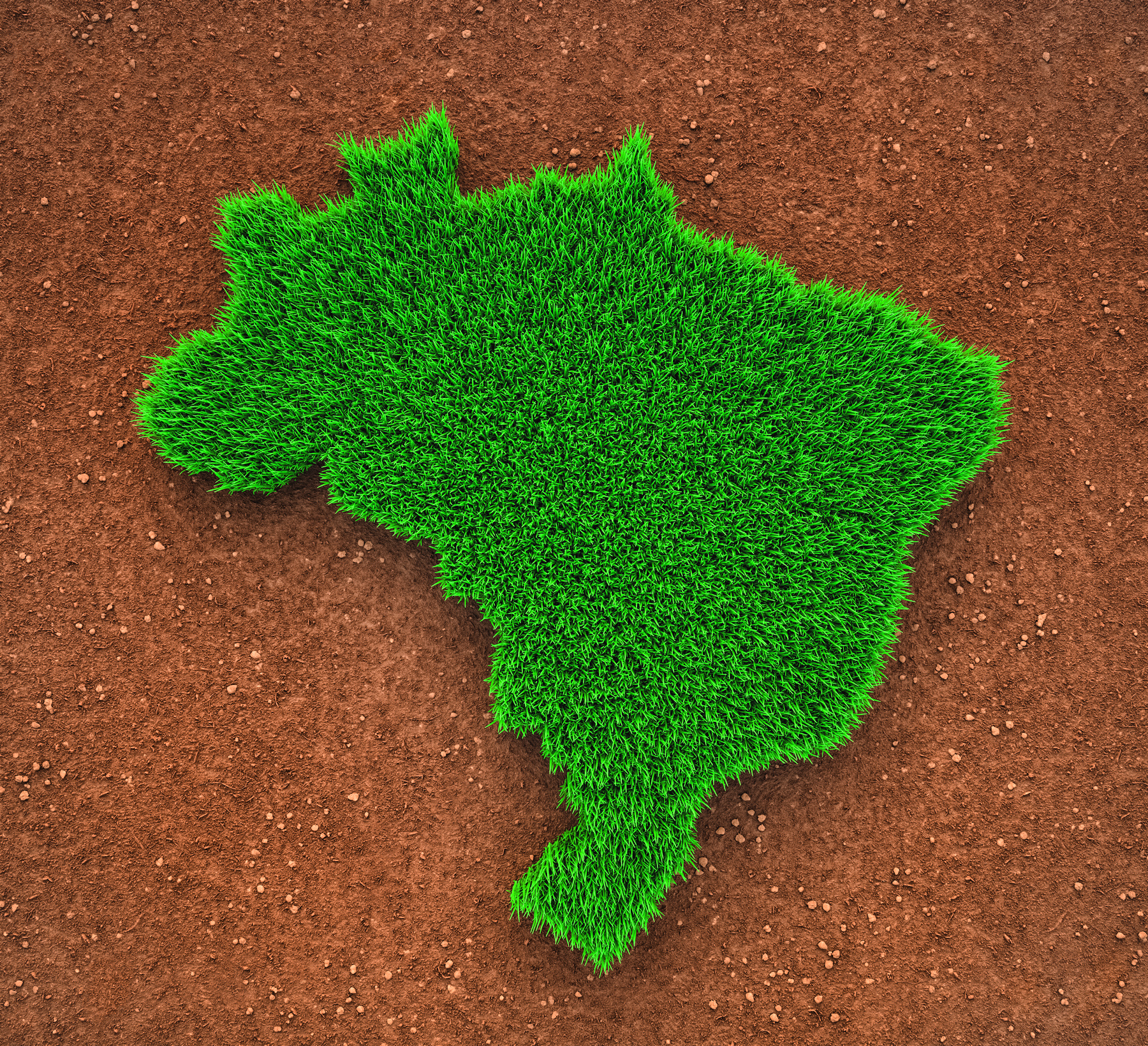 Grass map of Brazil